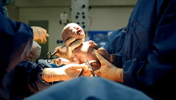 Gynecology & Obstetrics