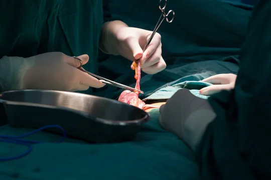 Hernia & Appendix Surgery